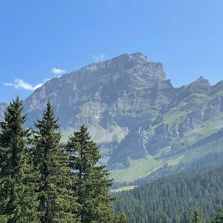 Dauphinelles 12 * Gryon