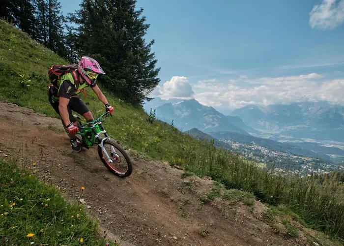 Dauphinelles 12 Gryon