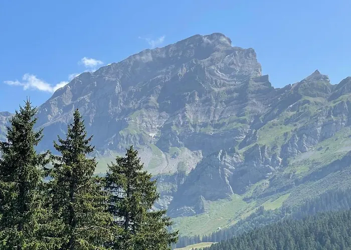 Dauphinelles 12 * Gryon