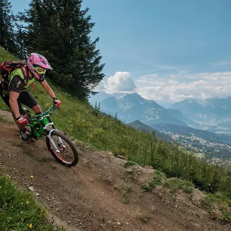 Dauphinelles 12 Gryon