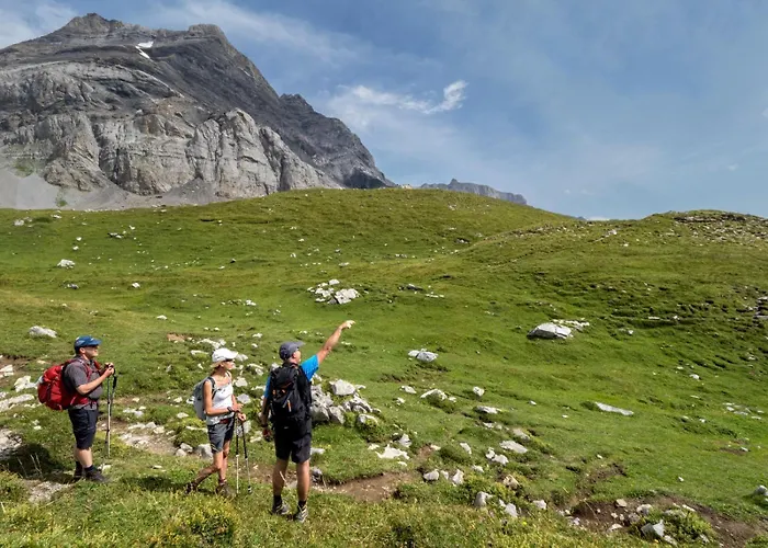 Dauphinelles 12 Apartman Gryon