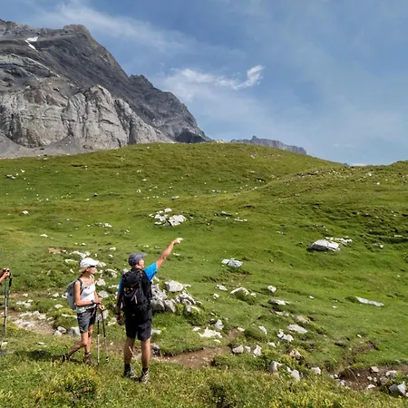 Dauphinelles 12 Apartamento Gryon