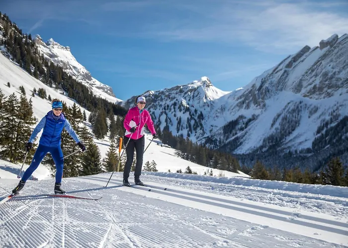 アパート Dauphinelles 12 *